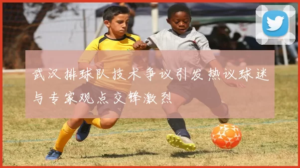 武汉排球队技术争议引发热议球迷与专家观点交锋激烈