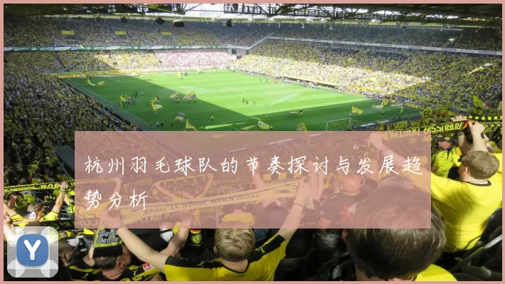 杭州羽毛球队的节奏探讨与发展趋势分析