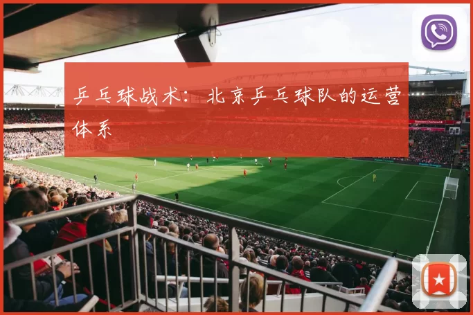 乒乓球战术：北京乒乓球队的运营体系