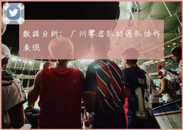 数据分析：广州攀岩队的团队协作表现