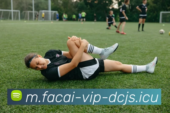 华体会体育平台生态图