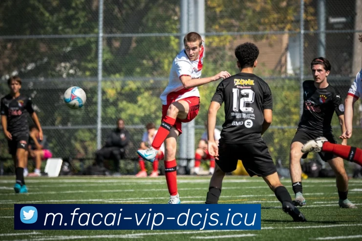 华体会体育全站App